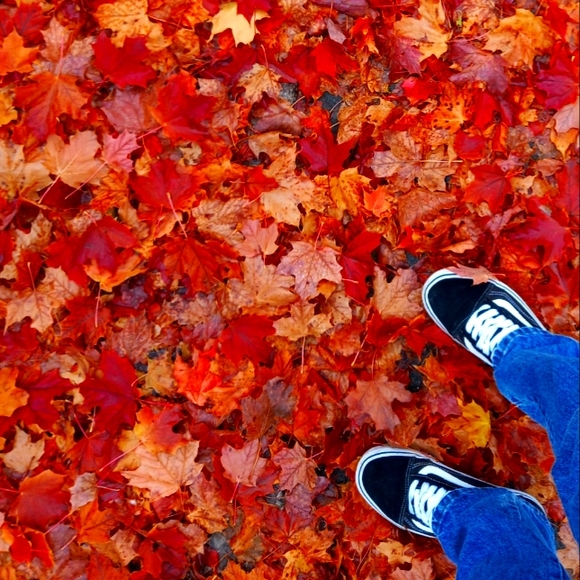 Meet your Posher, Ericka - Picture 1 of 1